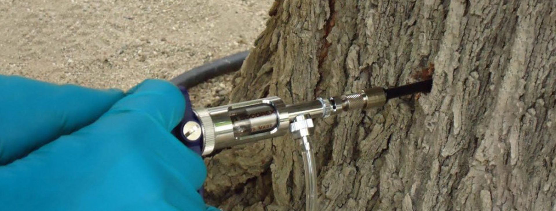 Injecção no Tronco